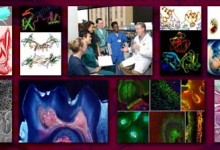 Dec 2, 2015 Baylor College of Dentistry Biomedical Sciences 11:00 to 1:30; Dallas, TX